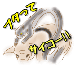 UMA(yu-u-ma) tweet sticker #11170401