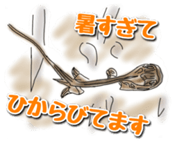 UMA(yu-u-ma) tweet sticker #11170417