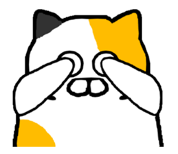 Spence is a chubby cat sticker #11170433