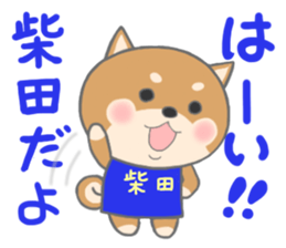 For SHIBATA'S Sticker sticker #11171064