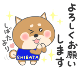 For SHIBATA'S Sticker sticker #11171067