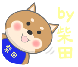 For SHIBATA'S Sticker sticker #11171073