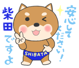 For SHIBATA'S Sticker sticker #11171075