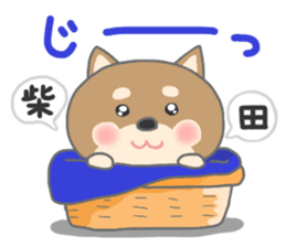 For SHIBATA'S Sticker sticker #11171084