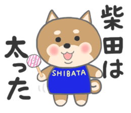 For SHIBATA'S Sticker sticker #11171087