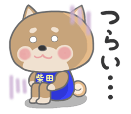 For SHIBATA'S Sticker sticker #11171091