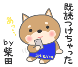 For SHIBATA'S Sticker sticker #11171093