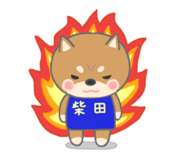 For SHIBATA'S Sticker sticker #11171094