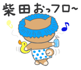 For SHIBATA'S Sticker sticker #11171100