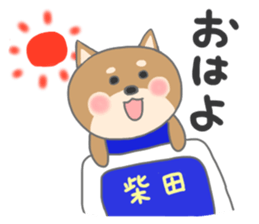 For SHIBATA'S Sticker sticker #11171101