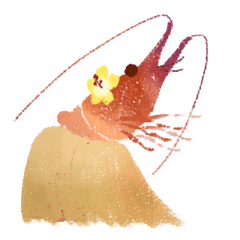 Japanese spiny lobster