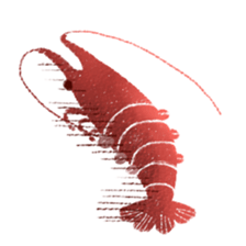 Japanese spiny lobster sticker #11171386