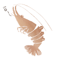 Japanese spiny lobster sticker #11171394