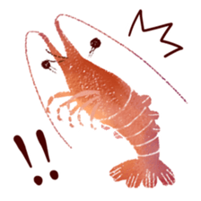Japanese spiny lobster sticker #11171403