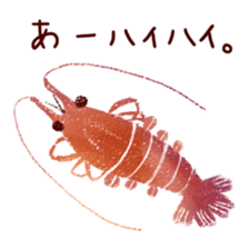Japanese spiny lobster sticker #11171413
