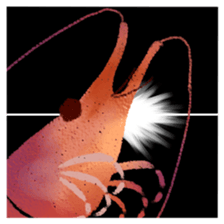 Japanese spiny lobster sticker #11171415