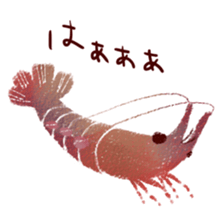 Japanese spiny lobster sticker #11171416