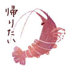 Japanese spiny lobster sticker #11171418