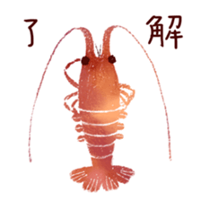 Japanese spiny lobster sticker #11171419