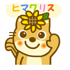 Daily sunflower squirrel