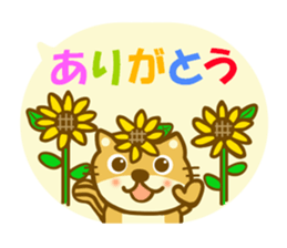 Daily sunflower squirrel sticker #11171824