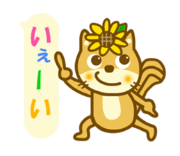 Daily sunflower squirrel sticker #11171851