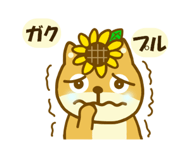 Daily sunflower squirrel sticker #11171860