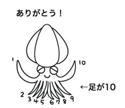 The cat and the Japanese common squid sticker #11174311