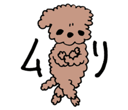 toy poodle Akubi sticker #11175288