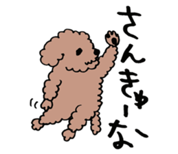 toy poodle Akubi sticker #11175290