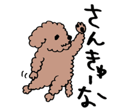 toy poodle Akubi sticker #11175290