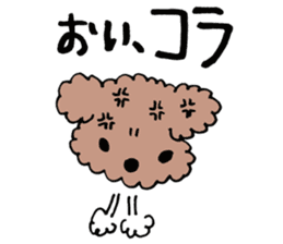toy poodle Akubi sticker #11175292