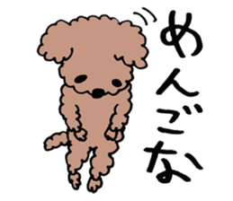 toy poodle Akubi sticker #11175294