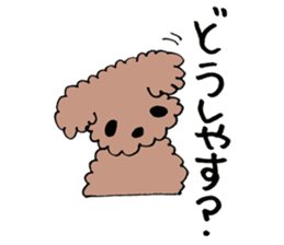toy poodle Akubi sticker #11175296