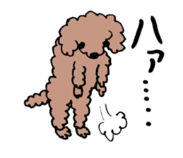toy poodle Akubi sticker #11175302