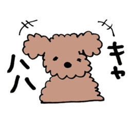 toy poodle Akubi sticker #11175306