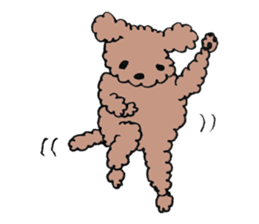 toy poodle Akubi sticker #11175316