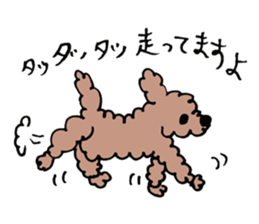 toy poodle Akubi sticker #11175320
