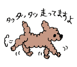 toy poodle Akubi sticker #11175320