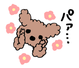 toy poodle Akubi sticker #11175322