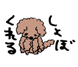 toy poodle Akubi sticker #11175323