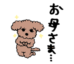 toy poodle Akubi sticker #11175326