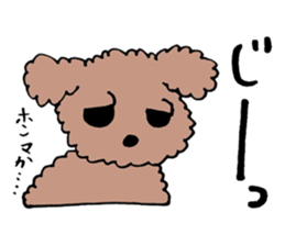 toy poodle Akubi sticker #11175330
