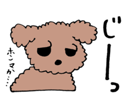 toy poodle Akubi sticker #11175330