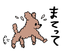 toy poodle Akubi sticker #11175332
