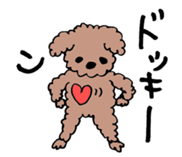 toy poodle Akubi sticker #11175341