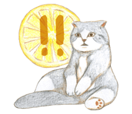 Warm and Fluffy Cats 2 sticker #11177614