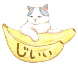 Warm and Fluffy Cats 2 sticker #11177621