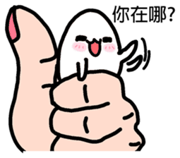 Red-white chick and Q egg baby sticker #11180064