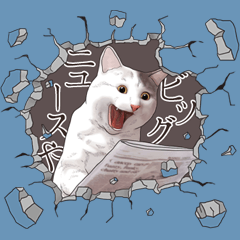 Cat's on the other side of the hole